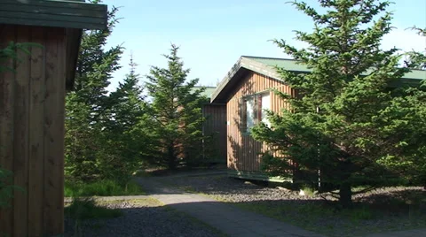 Log cabins among spruce trees Stock Footage 37588489