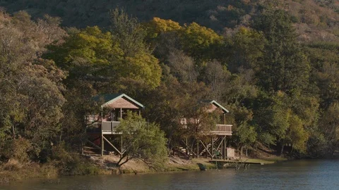 Log Cabins nestled on Lakeside shore Stock Footage 125041653