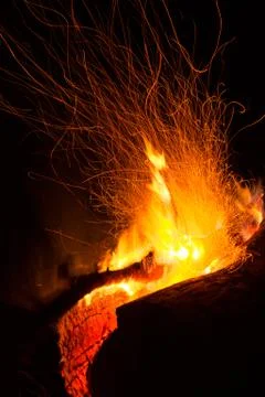 Log Campfire Burning at Night Stock Photos