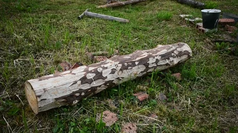 Log on a construction site,  build with their own hands detail Stock Footage 147962078