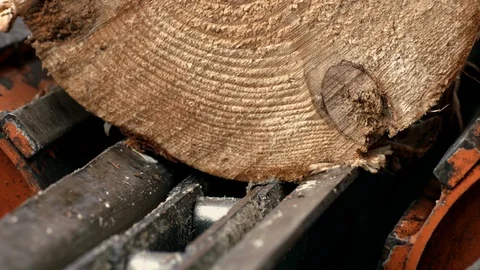 Log conveyor pulling log onto automated line for further processing Stock Footage 107256064