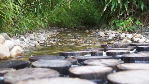 Log crossing through the creek Stock Footage 74905110