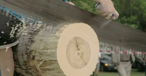 A log cutting competition with a big saw Stock Footage 41572709