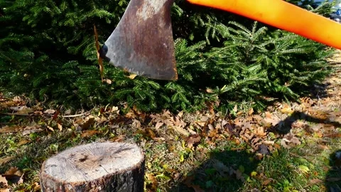 Log cutting Stock Footage 293253913