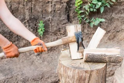 Log cutting process Foto stock