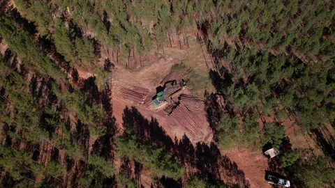 Log Deck 4K 動画素材 327085000