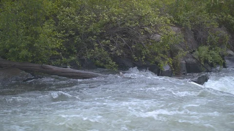 Log in the Deschutes Stock Footage 90501810