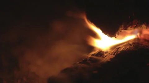 Log drowning in the fireplace Stock Footage 55689889