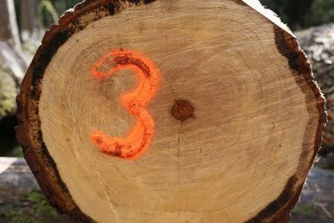 Log End Number Three Stock Photos
