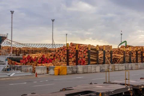 Log Exports Stock Photos