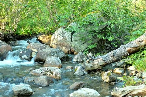A log of a fallen tree in a rocky bed of a mountain stream flowing through .. Stock Photos