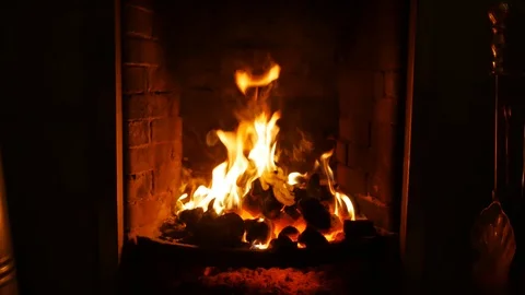 Log fire burning in a home Stock Footage 102283699