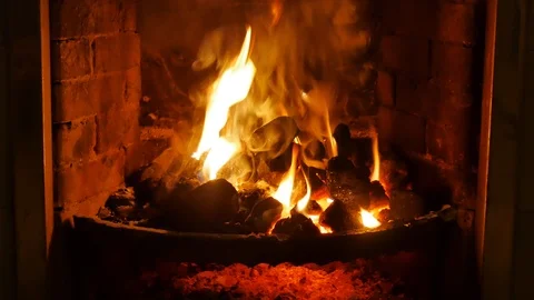 Log fire burning in a home Stock Footage 102288626