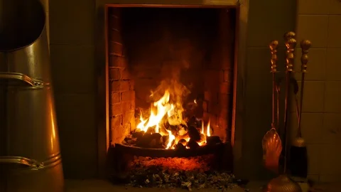 Log fire burning in a home Stock Footage 102324991
