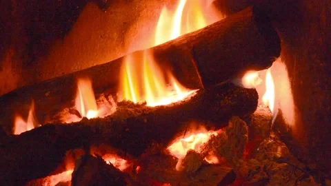 Log fire burning in household grate Video stock 153897481
