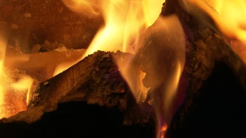 Log Fire Close-up Stock Footage 124205467