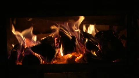Log Fire Close-up Stock Footage 124207829
