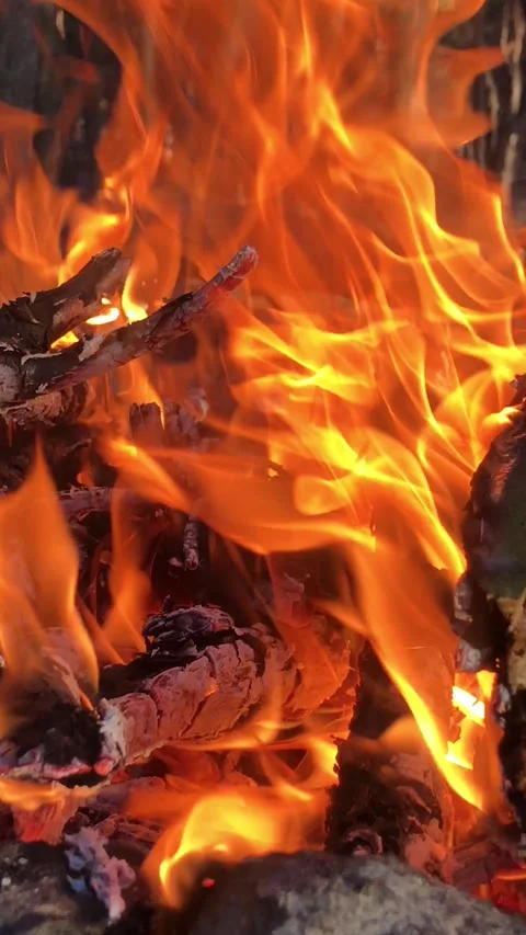Log fire close-up vertical video. Bonfire close-up. fire close-up. Stock Footage 197384059