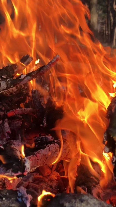 Log fire close-up vertical video. Bonfire close-up. fire close-up. Stock Footage 199094684