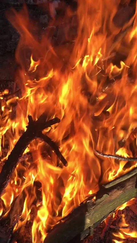 Log fire close-up vertical video. Bonfire close-up. fire close-up. Stock Footage 199094707