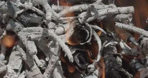 Log fire closeup selective focus Stock Footage 156904282