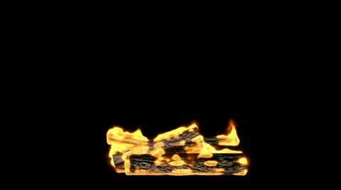 Log Fire 動画素材 21912165