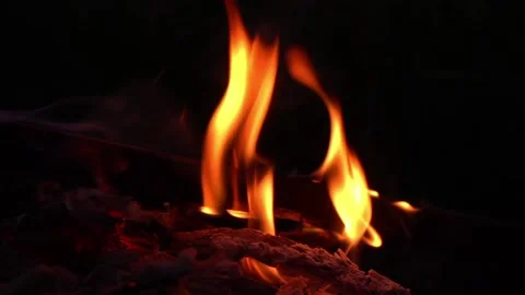 A log on fire Stock Footage