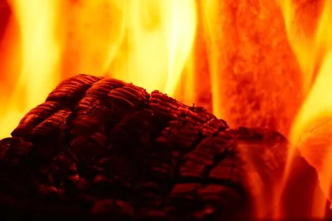 Log on fire 库存照片