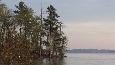 Log floating along calm lake with boat in background Stock Footage 128774102