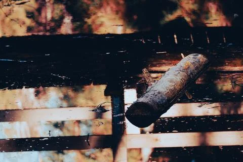 Log floating in a pond Stock Photos