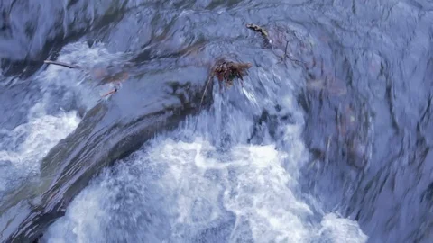 Log in Flowing River Stock Footage 100957813