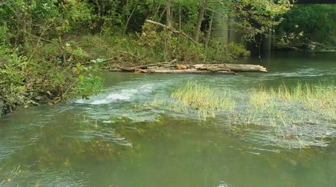 Log on Flowing Water Stock Footage 43066269