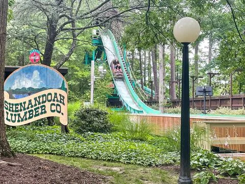 Log Flume 库存照片