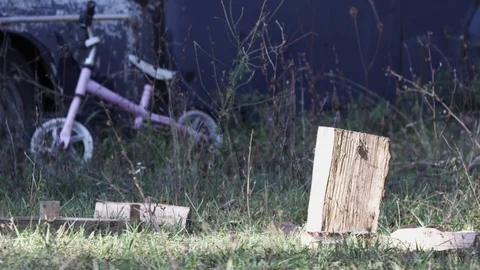 A log Stock Footage 119099460