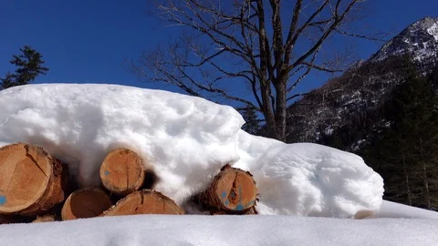 Log in a forest in germany in winter with snow Stock Footage 108850559