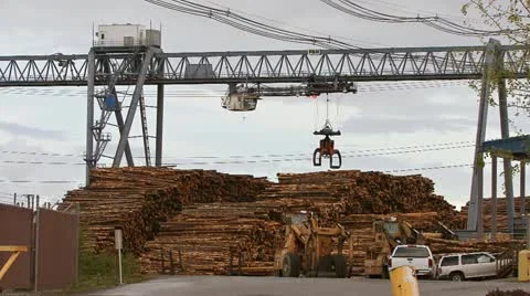 Log Grapple on Gantry Crane Repositioning at Mill Stock Footage 10993691