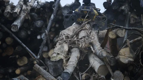 Log grappler getting pieces of logs. Deforestation for Industrial production 스톡 동영상 127166564