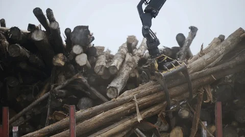 Log grappler getting pieces of logs from truck. Deforestation for Industrial 스톡 동영상 127166601