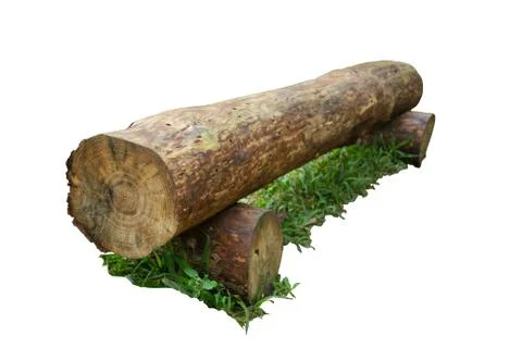 Log on the green grass Stock Photos