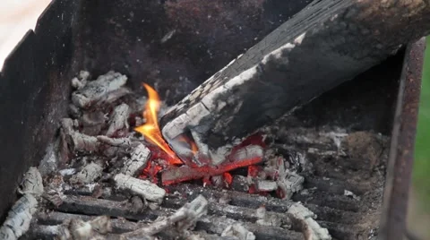 Log on the grill Stock Footage 55490696