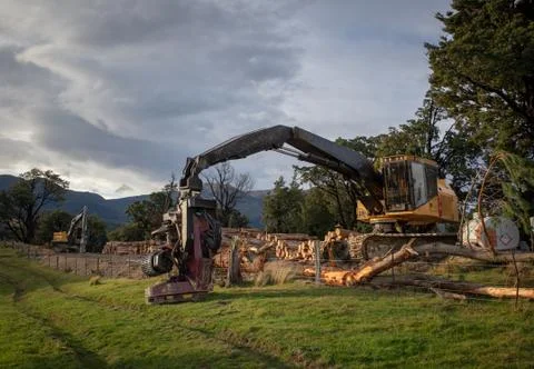 A log harvester ready to work at a forestry and logging site Stock Photos