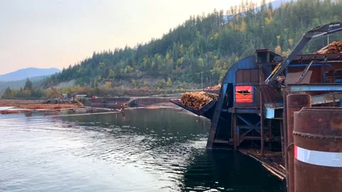 Log hoist moving logs out of the water for further processing at sawmill" Stock Footage 229099084