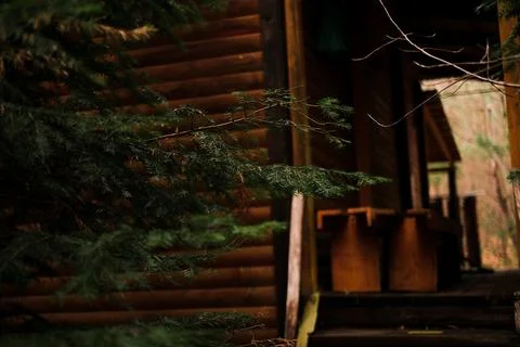 Log house in the forest Foto stock