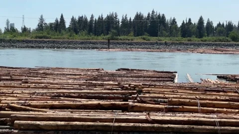 Log Jam Stock Footage 172041464