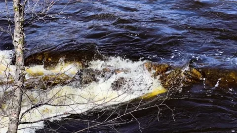 Log Jam in River Stock Footage 230028702