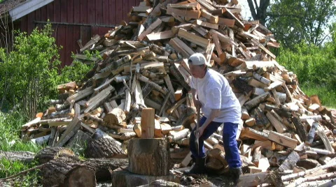 Log lady Stock Footage 419943