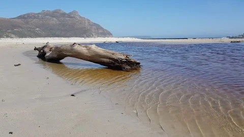 Log in lagoon with water ripples Stock Footage 80553624