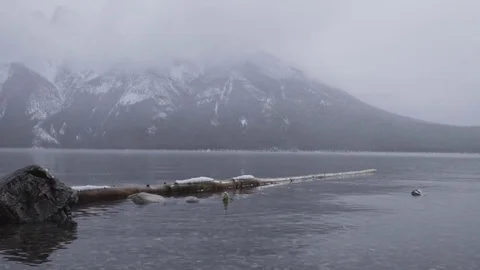 Log In Lake Stock Footage 83360529