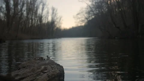 Log On The Lake Stock Footage 169572647