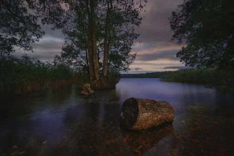 The log in the lake Stockfoto's